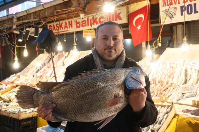 Balığın Kulağına Kar Suyu Kaçtı