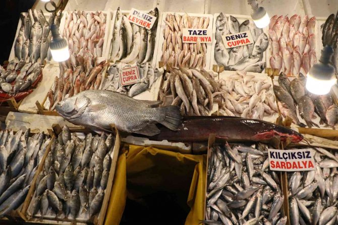 Balığın Kulağına Kar Suyu Kaçtı