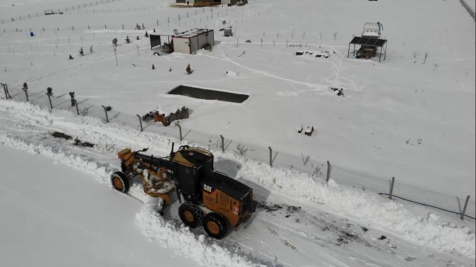 Besicinin 4 Günlük Esareti Bitti