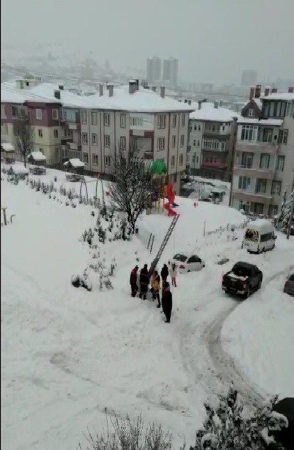 Çöp Konteynerine Düşen Kedi Kurtarıldı