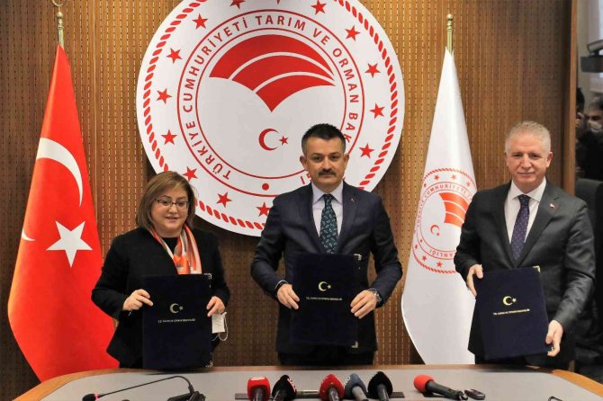 Tarım Ve Orman Bakanlığı, Tbb Ve Gaziantep Büyükşehir Belediyesi Arasında Aşılama Protokolü İmzalandı