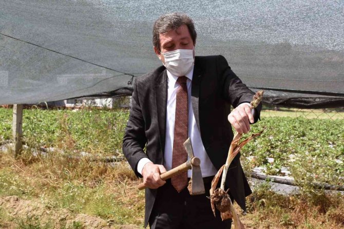 Endemik Türlerden Muğla Ekonomisine 62 Milyon Tl Katkı