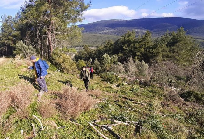 Doğaseverler, Ocak Ayında Baharı Yaşadı