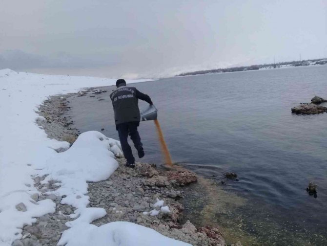 Van’da Yaban Hayvanlarına Yem Desteği