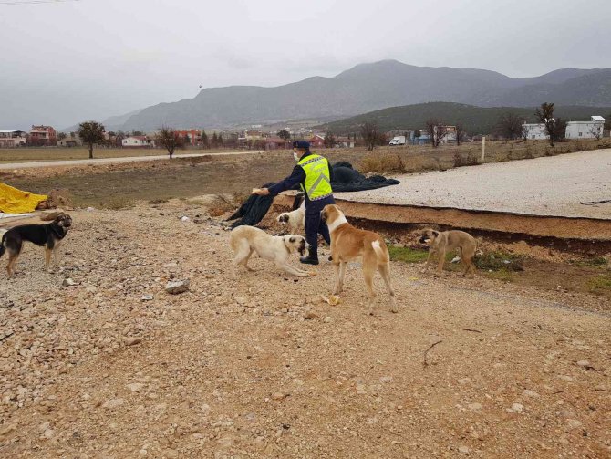 Kokuteli’de Jandarmadan Anlamlı Davranış
