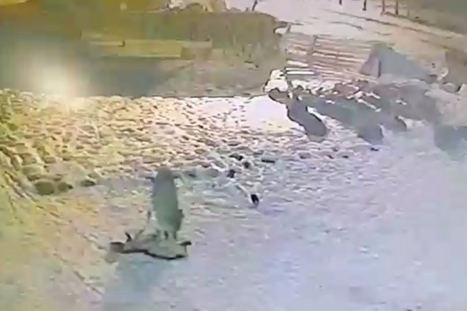 Aç Kurtlar Köye İndi