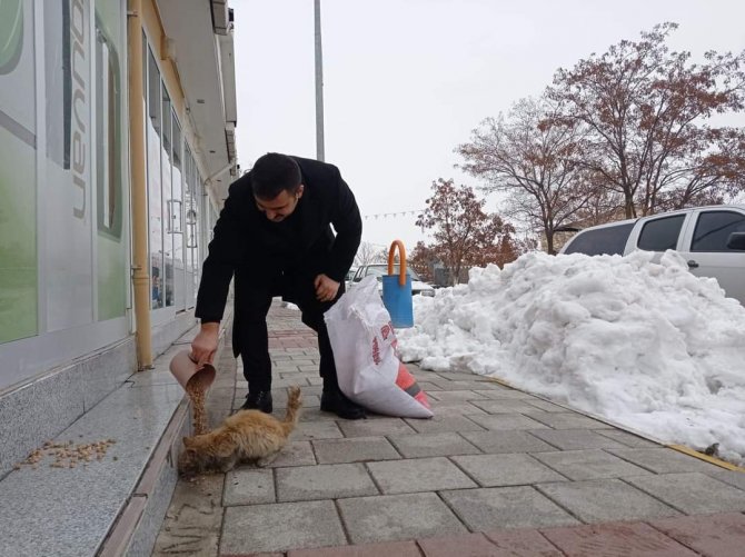 Arguvan’da Sokak Hayvanları Unutulmadı