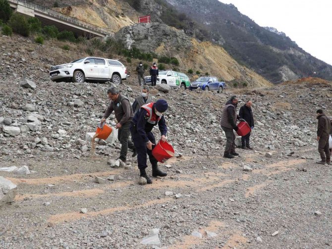 Artvin’de “2 Şubat Dünya Sulak Alanlar Günü” Nedeniyle Yemleme Yapıldı