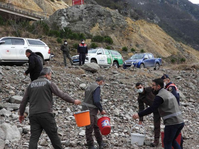 Artvin’de “2 Şubat Dünya Sulak Alanlar Günü” Nedeniyle Yemleme Yapıldı