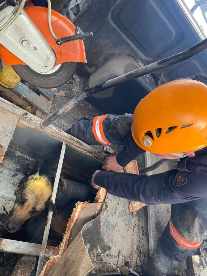 Ankara İ̇tfaiyesi Bir Günde İki Canın Yardımına Koştu
