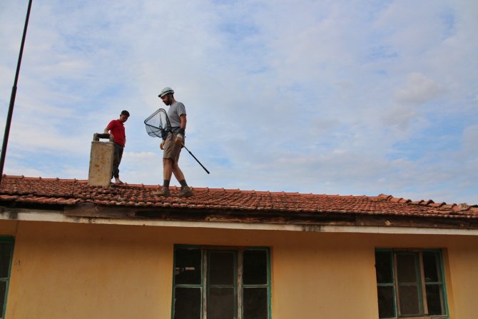 Doğanın Gizemli Türü Yarasaların Sırları Çakü’de Aydınlanıyor