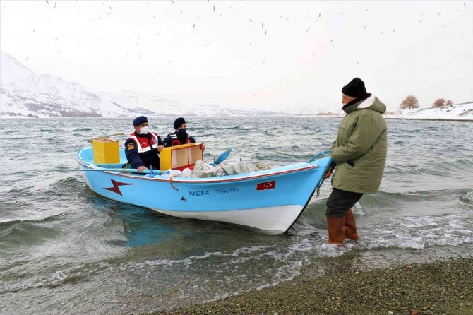 Tavşan Adası’nın Uzun Kulaklı Sakinleri Jandarma Tarafından Besleniyor