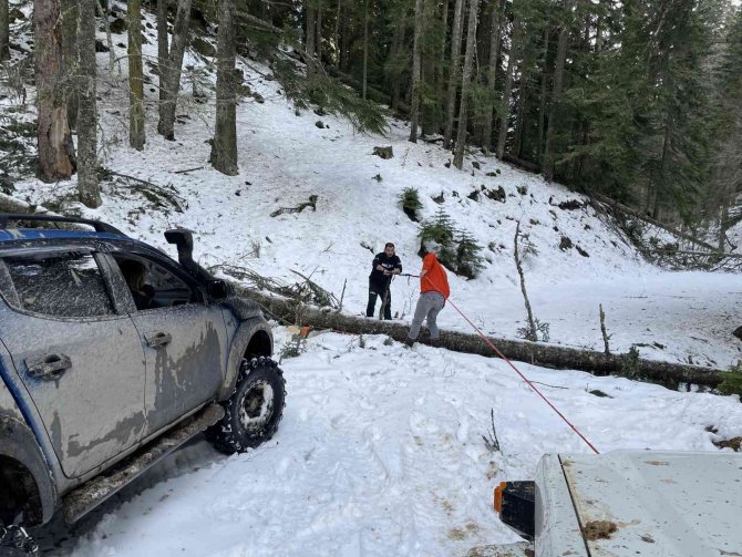 Yayla Yollarına Devrilen Ağaçları Kesip Yolu Açtılar