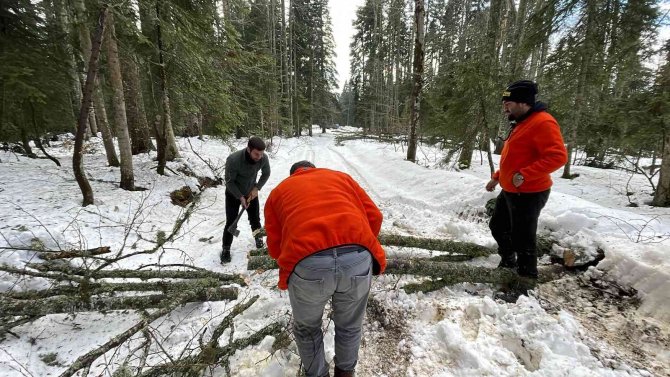 Yayla Yollarına Devrilen Ağaçları Kesip Yolu Açtılar