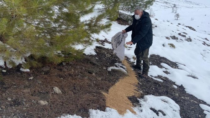 Elazığ’da Yaban Hayvanları İçin Doğaya Yem Bırakıldı