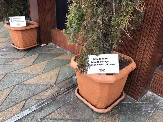 Saksılara Atılan Çöplere Sitemli Yazı