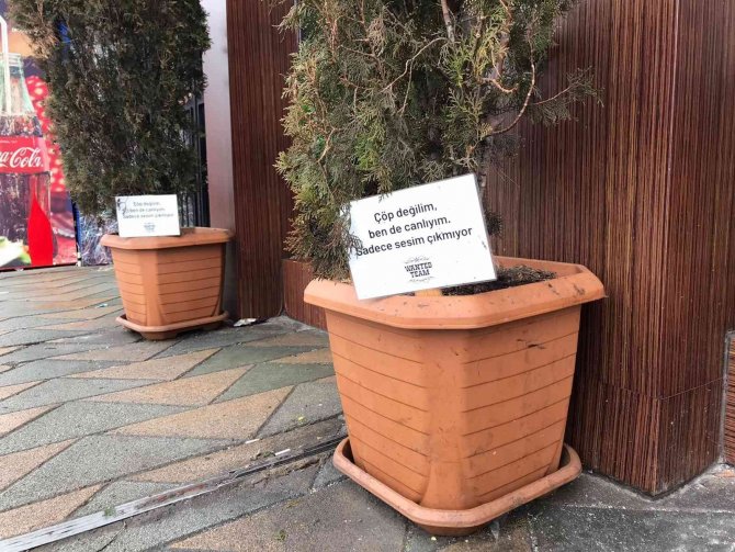 Saksılara Atılan Çöplere Sitemli Yazı