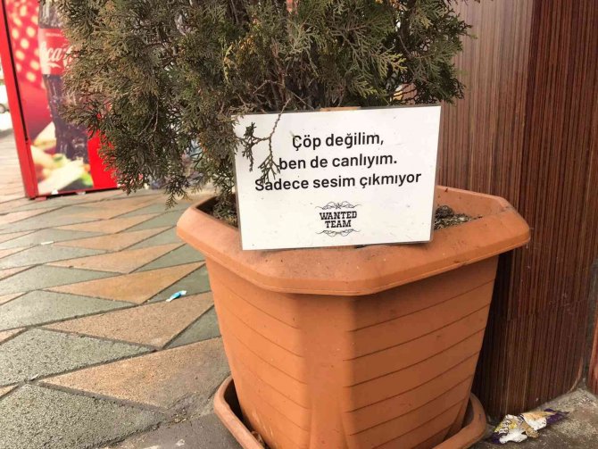 Saksılara Atılan Çöplere Sitemli Yazı