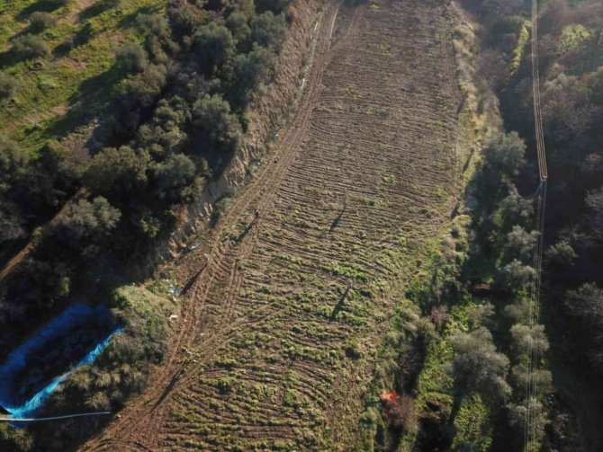 Kaybolan Alzheimer Hastasını Drone İle Buldular