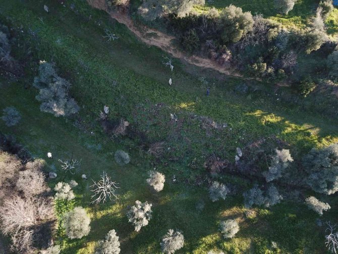 Kaybolan Alzheimer Hastasını Drone İle Buldular