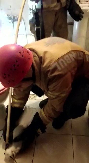 Kartal’da İtfaiye Ekiplerinden Mahsur Kalan Martıyı Kurtarma Operasyonu