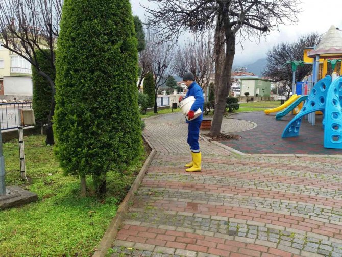 Kemer’de Yeşil Alanlarda Gübreleme Çalışması