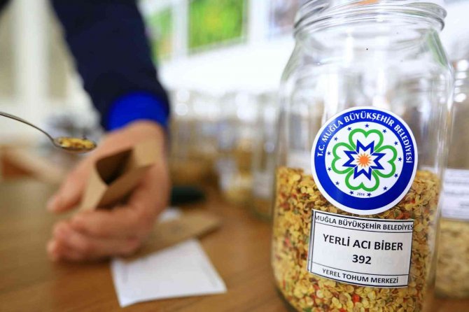 Yerel Tohum Dağıtımı Başladı