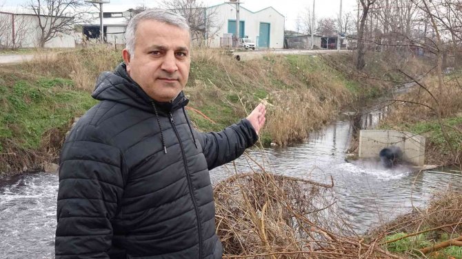 Bursa’da Dereler Zehir Akıyor, Bu Yıl Da Müsilaj Tehdidi Kapıda