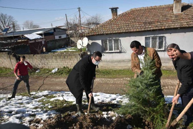 Başkan Kanar, Liseli Gençlerle Birlikte Fidan Dikti