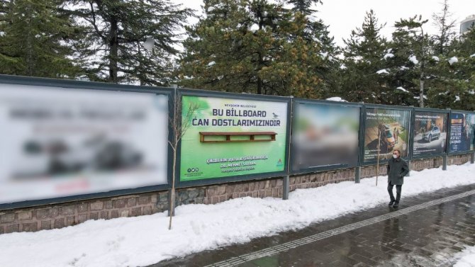 Billboardlara Reklam Yerine Kuşlar İçin Yemlik Asıldı