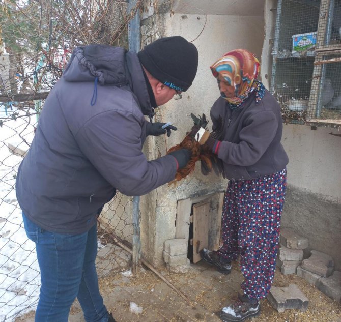 Pazarlar’da “Tavuk Vebası” Taraması