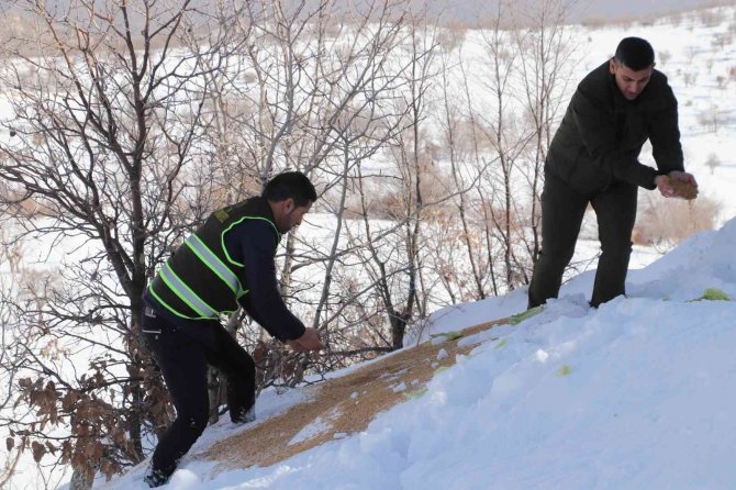 Siirt’te Karda Yiyecek Bulamayan Yaban Hayvanları İçin Doğaya 350 Kilo Yem Bırakıldı