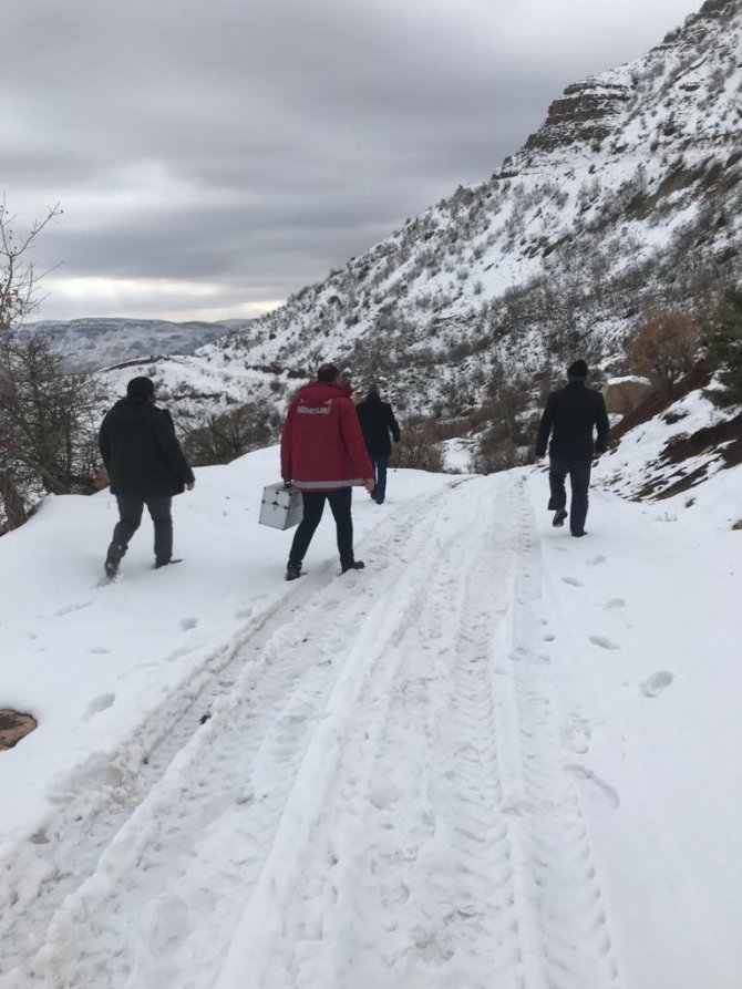 Siirt’te Kurtların Saldırısına Uğrayan Keçiler Tedavi Altına Alındı