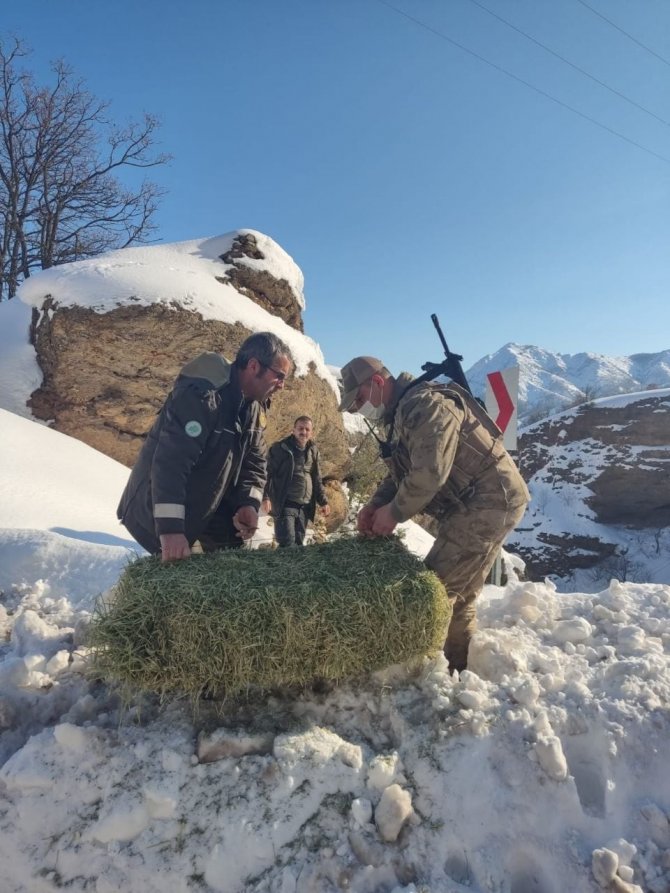 Tunceli’de Yaban Hayvanları İçin Doğaya Yem Bırakıldı