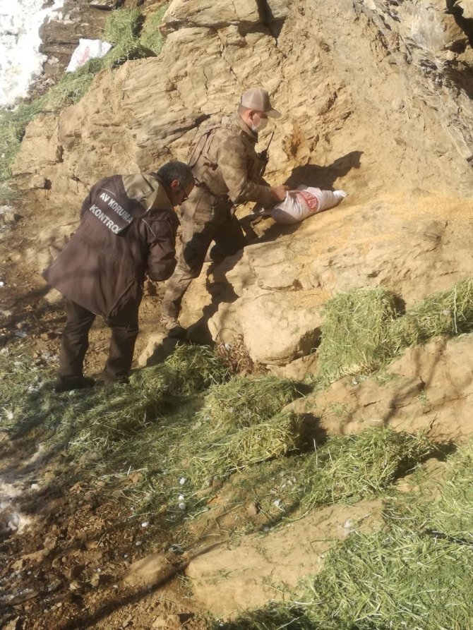 Tunceli’de Yaban Hayvanları İçin Doğaya Yem Bırakıldı