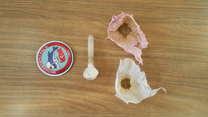 Van’da ‘Torbacı’ Operasyonu