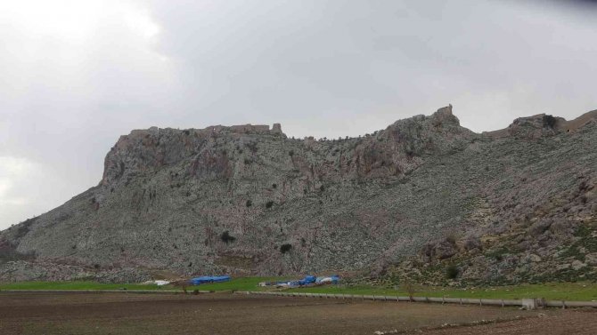 Koyunu Kurtarmak İsteyen Çobanın Feci Ölümü