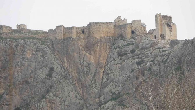 Koyunu Kurtarmak İsteyen Çobanın Feci Ölümü