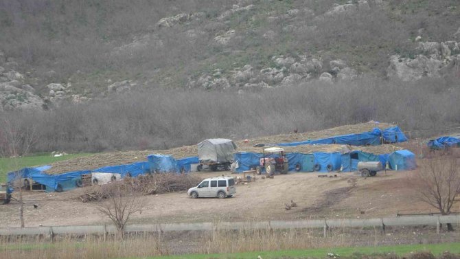 Koyunu Kurtarmak İsteyen Çobanın Feci Ölümü