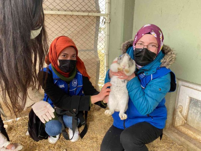 Barınaktaki Köpekleri Gençler Elleriyle Besledi
