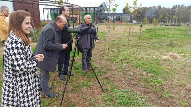 Sulak Alan Gününde Hersek Lagününde 6316 Kuş Gözlenerek Kayıtlara Geçirildi