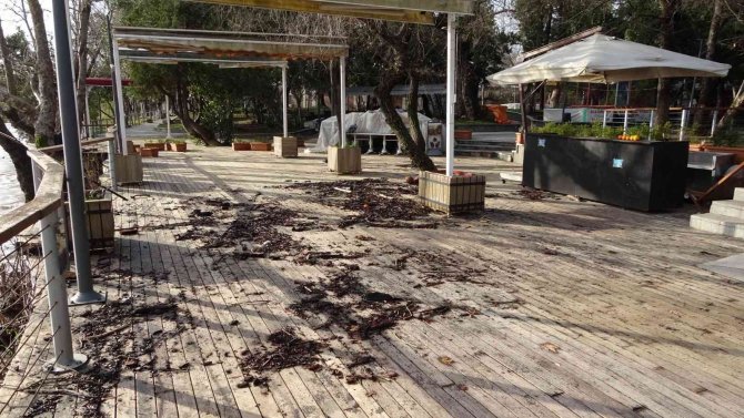 Manavgat Şelalesi’nde Bulunan Tesisler Sular Altında Kaldı