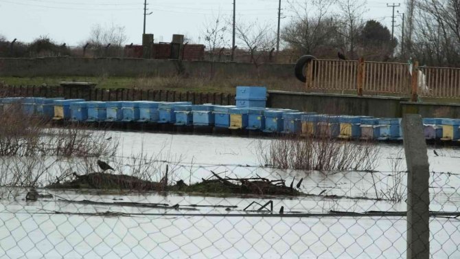 Balıkesir’de Arazileri Sular Bastı, Arı Kovanları Su Altında Kaldı