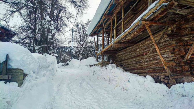 Artvin’in Oba Köyünde Sakinleri Geleneksel Köy Yaşamlarını Sürdürüyor