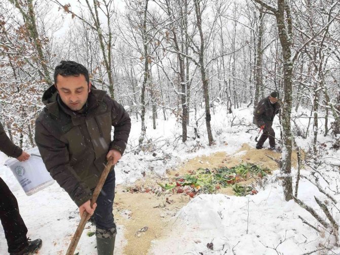 Ordu’da Yaban Hayvanları İçin Doğaya 5 Bin 800 Kilogram Yem Bırakıldı