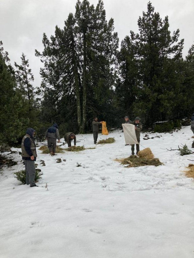 Burdur’da Yaban Hayatı Unutulmuyor