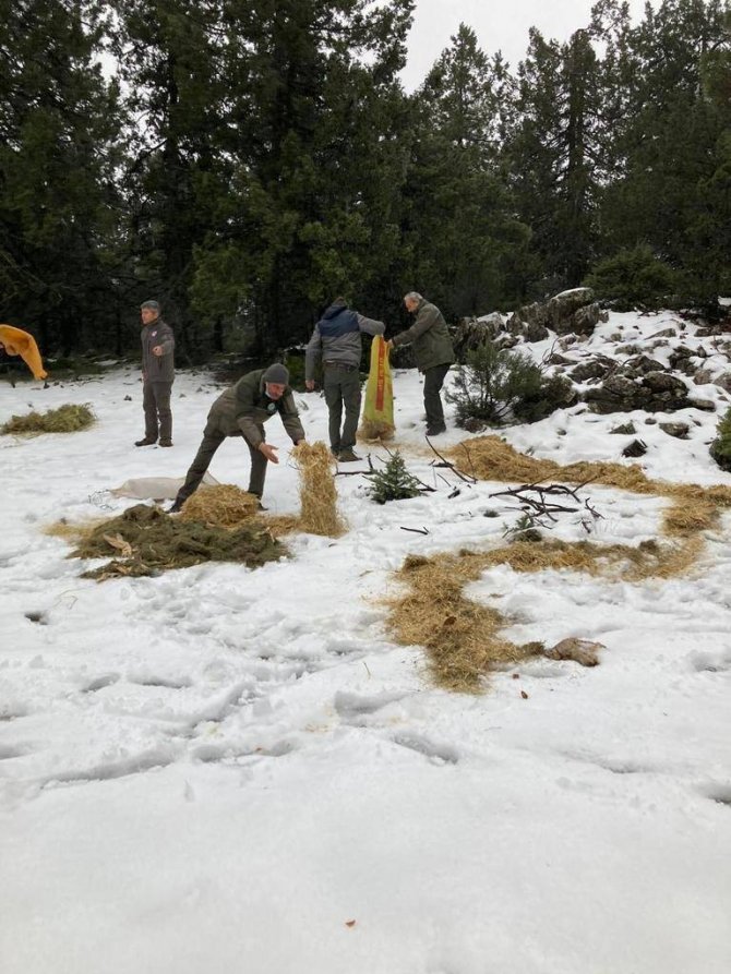 Burdur’da Yaban Hayatı Unutulmuyor