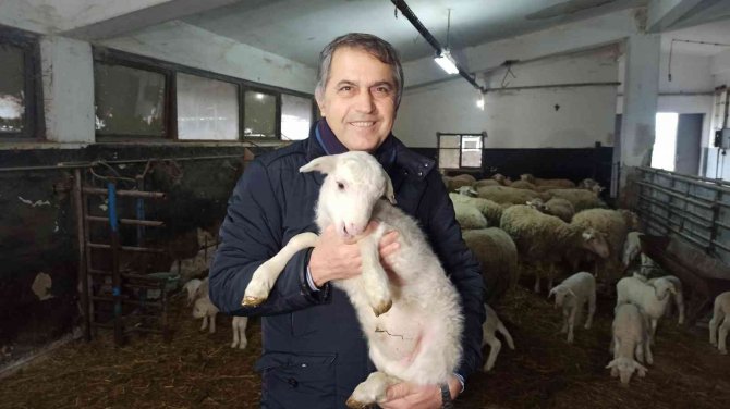 Bunlar Da Üniversiteli Kuzular