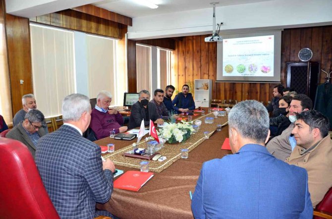 Kekik Sektöründeki Gelişmeler Masaya Yatırıldı