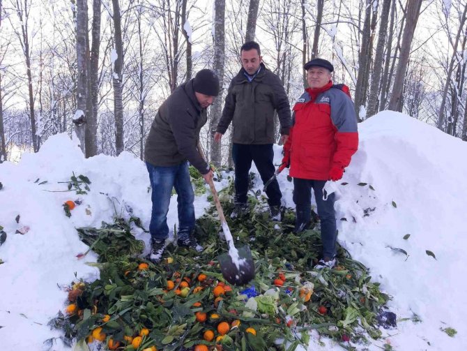 Ordu’da Yaban Hayvanları İçin Doğaya 5 Bin 800 Kilogram Yem Bırakıldı